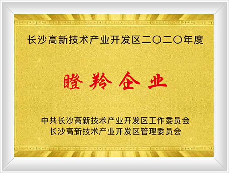 瞪羚企業