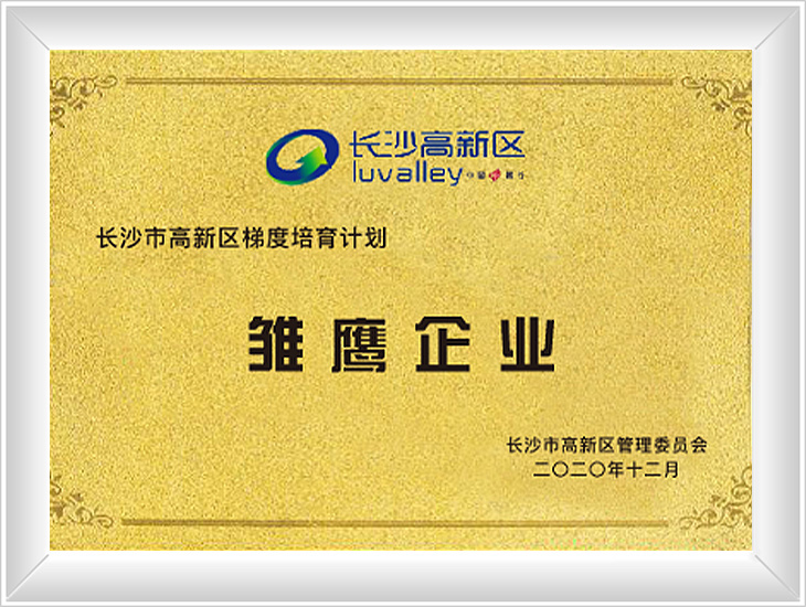雛鷹企業
