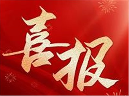 專精特新，鑄就行業"小巨人"！